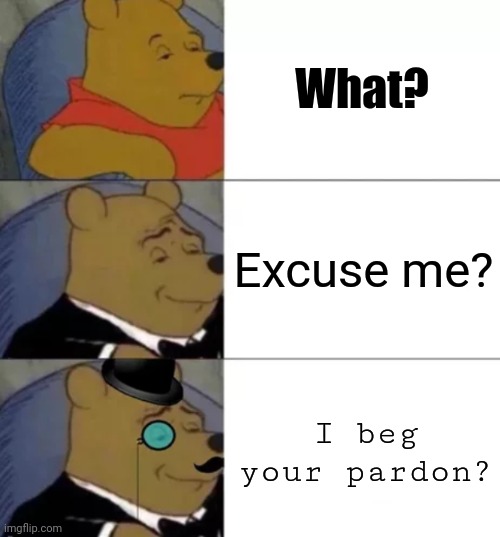 Pardon? | What? Excuse me? I beg your pardon? | image tagged in fancy pooh,memes | made w/ Imgflip meme maker