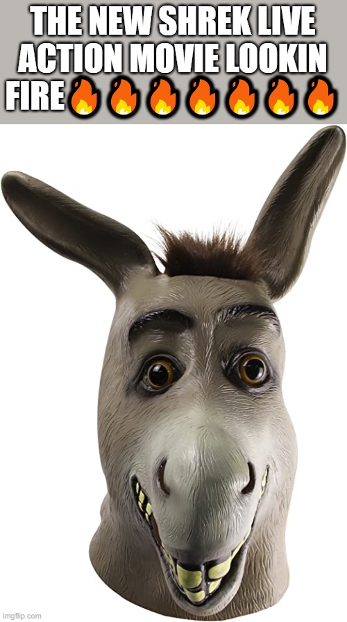 This new shrek movie lookin fire??????? | THE NEW SHREK LIVE ACTION MOVIE LOOKIN FIRE🔥🔥🔥🔥🔥🔥🔥 | image tagged in shrek,donkey from shrek,ew,amazon | made w/ Imgflip meme maker