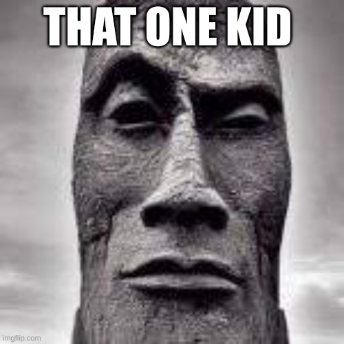 THAT ONE KID | image tagged in funny memes | made w/ Imgflip meme maker