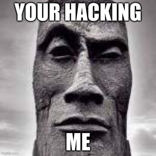 the rock | YOUR HACKING; ME | image tagged in funny memes | made w/ Imgflip meme maker