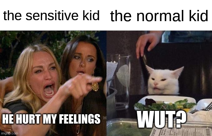 Woman Yelling At Cat Meme | the sensitive kid; the normal kid; HE HURT MY FEELINGS; WUT? | image tagged in memes,woman yelling at cat | made w/ Imgflip meme maker