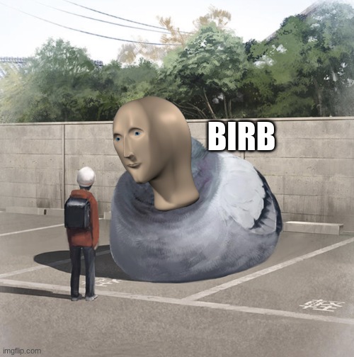 Beeg Birb | BIRB | image tagged in beeg birb | made w/ Imgflip meme maker