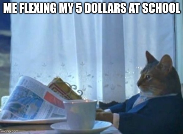 I Should Buy A Boat Cat Meme | ME FLEXING MY 5 DOLLARS AT SCHOOL | image tagged in memes,i should buy a boat cat | made w/ Imgflip meme maker