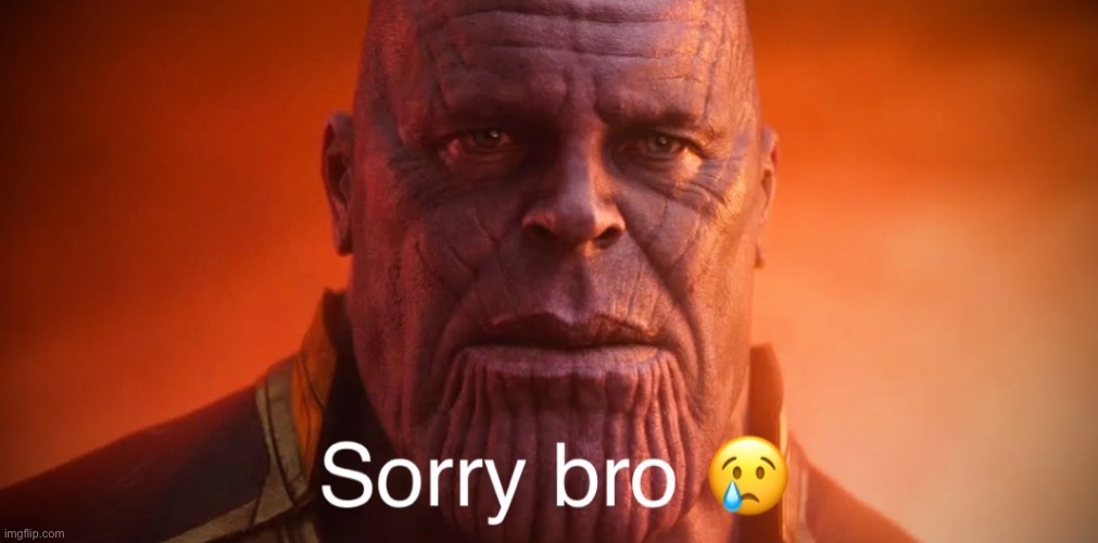 Thanos sorry bro | image tagged in thanos sorry bro | made w/ Imgflip meme maker