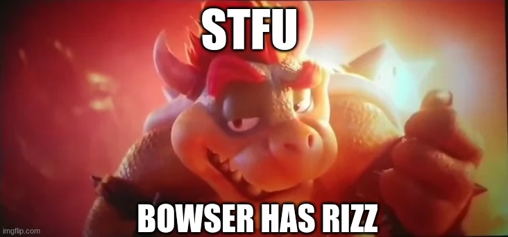 Bowser has riz | STFU; BOWSER HAS RIZZ | image tagged in fun | made w/ Imgflip meme maker