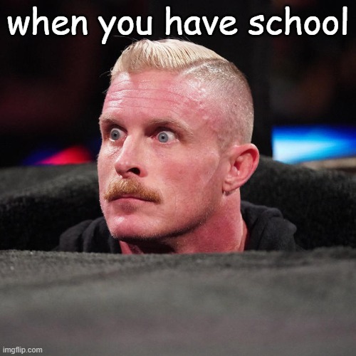 when you have school | made w/ Imgflip meme maker