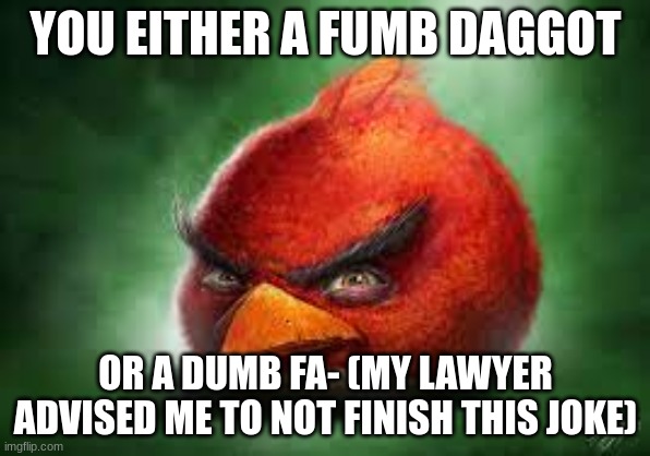 Realistic Red Angry Birds | YOU EITHER A FUMB DAGGOT; OR A DUMB FA- (MY LAWYER ADVISED ME TO NOT FINISH THIS JOKE) | image tagged in realistic red angry birds | made w/ Imgflip meme maker