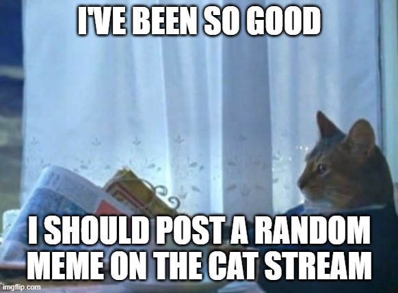 I Should Buy A Boat Cat | I'VE BEEN SO GOOD; I SHOULD POST A RANDOM MEME ON THE CAT STREAM | image tagged in memes,i should buy a boat cat | made w/ Imgflip meme maker