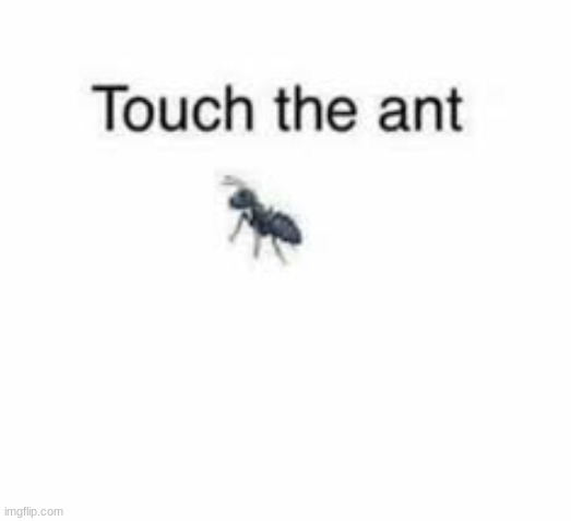 No context, just touch the ant | image tagged in ant,shitpost,msmg,oh wow are you actually reading these tags,you have been eternally cursed for reading the tags | made w/ Imgflip meme maker