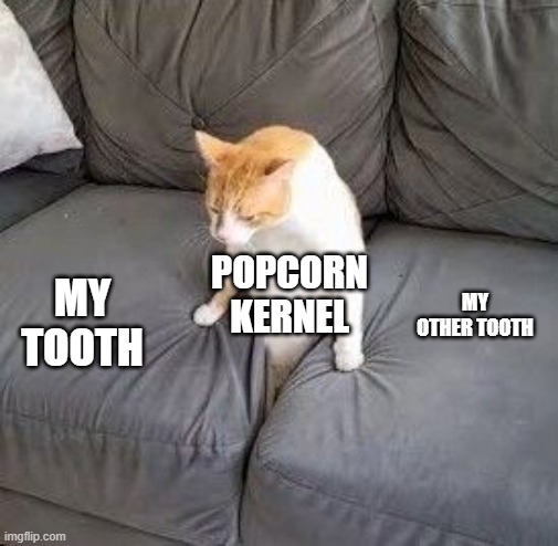 pull yourself up cat | MY TOOTH; MY OTHER TOOTH; POPCORN KERNEL | image tagged in pull yourself up cat | made w/ Imgflip meme maker