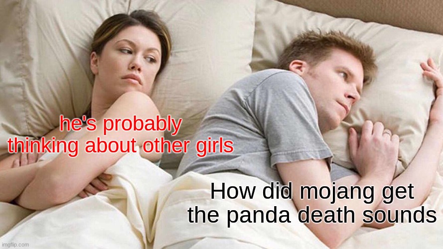 I Bet He's Thinking About Other Women Meme | he's probably thinking about other girls; How did mojang get the panda death sounds | image tagged in memes,i bet he's thinking about other women | made w/ Imgflip meme maker