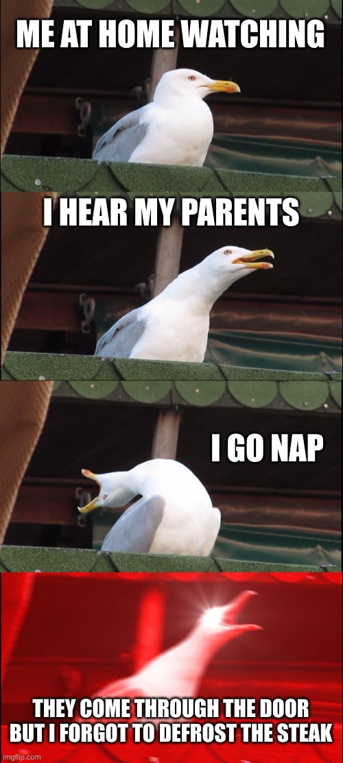 I'M IN TROUBLE | ME AT HOME WATCHING; I HEAR MY PARENTS; I GO NAP; THEY COME THROUGH THE DOOR BUT I FORGOT TO DEFROST THE STEAK | image tagged in memes,inhaling seagull | made w/ Imgflip meme maker