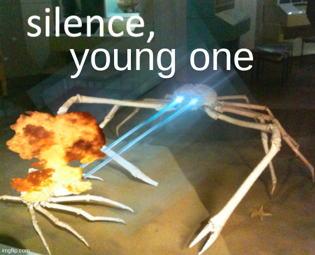 Silence Crab | young one | image tagged in silence crab | made w/ Imgflip meme maker