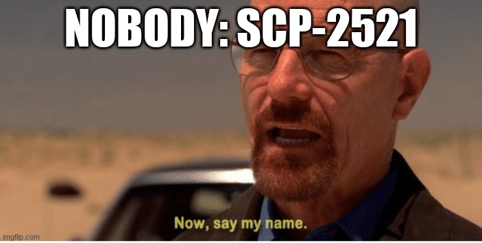 DON'T SAY IT! | NOBODY: SCP-2521 | image tagged in now say my name | made w/ Imgflip meme maker