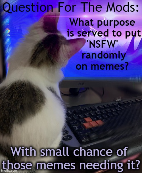 Asking For a Friend :) | Question For The Mods:; What purpose 
is served to put
'NSFW' 
randomly
on memes? With small chance of 
those memes needing it? | image tagged in question,imgflip mods,wondering,purpose,nsfw,random | made w/ Imgflip meme maker