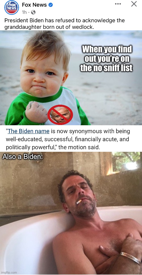 The great American family | When you find out you’re on the no sniff list; Also a Biden: | image tagged in success kid / nailed it kid,hunter biden,politics lol,memes | made w/ Imgflip meme maker