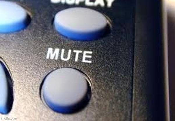 mute button | image tagged in mute button | made w/ Imgflip meme maker