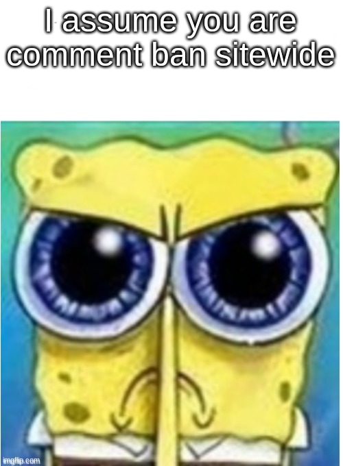 Angry spongebob blank | I assume you are comment ban sitewide | image tagged in angry spongebob blank | made w/ Imgflip meme maker