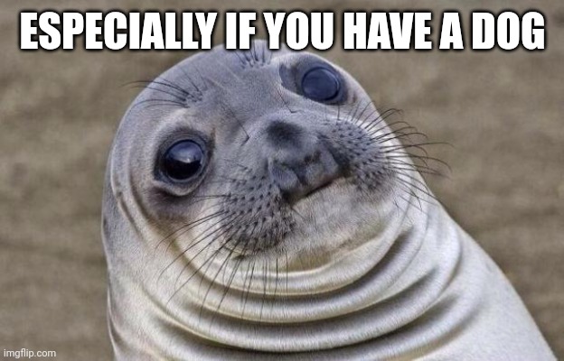 ESPECIALLY IF YOU HAVE A DOG | image tagged in memes,awkward moment sealion | made w/ Imgflip meme maker