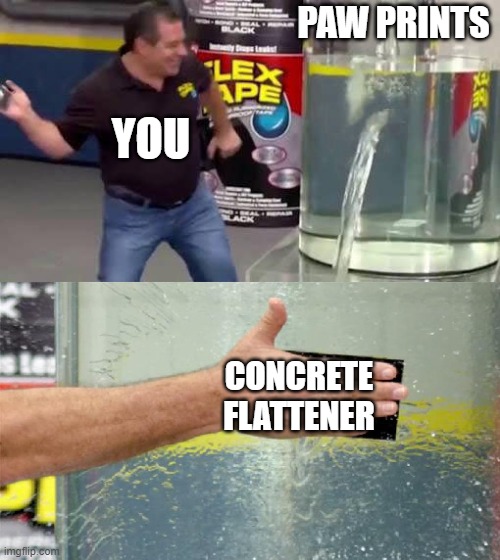Flex Tape | PAW PRINTS CONCRETE FLATTENER YOU | image tagged in flex tape | made w/ Imgflip meme maker