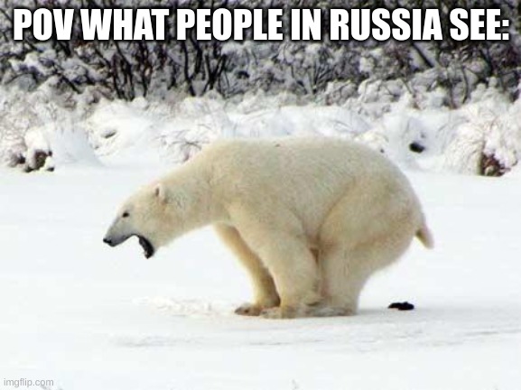 Polar Bear Shits in the Snow | POV WHAT PEOPLE IN RUSSIA SEE: | image tagged in polar bear shits in the snow | made w/ Imgflip meme maker