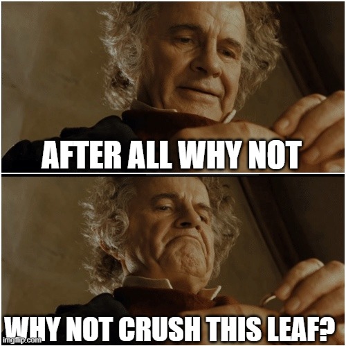 10 yo me | AFTER ALL WHY NOT; WHY NOT CRUSH THIS LEAF? | image tagged in bilbo - why shouldn t i keep it,funny | made w/ Imgflip meme maker