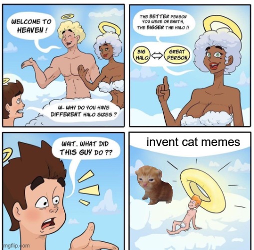 cat lord | invent cat memes | image tagged in halo sizes on cloud 9 | made w/ Imgflip meme maker