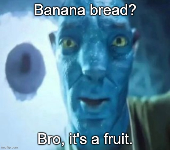 Avatar guy | Banana bread? Bro, it's a fruit. | image tagged in avatar guy | made w/ Imgflip meme maker