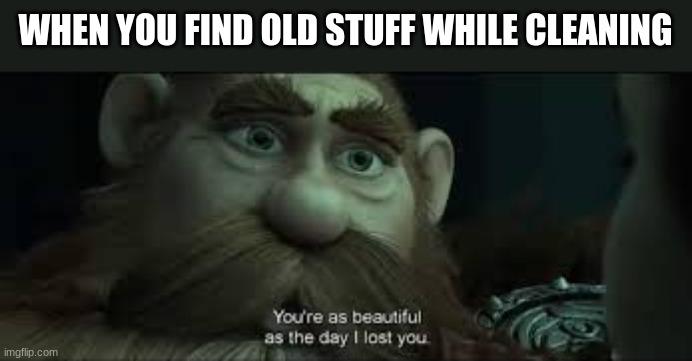 Then you stop cleaning and look at it | WHEN YOU FIND OLD STUFF WHILE CLEANING | image tagged in you're as beautiful as the day i lost you | made w/ Imgflip meme maker
