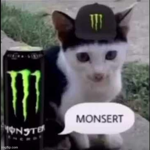 monsert | image tagged in monsert | made w/ Imgflip meme maker