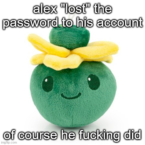 and he wonders why i hate him | alex "lost" the password to his account; of course he fucking did | image tagged in yooo sis plush real | made w/ Imgflip meme maker