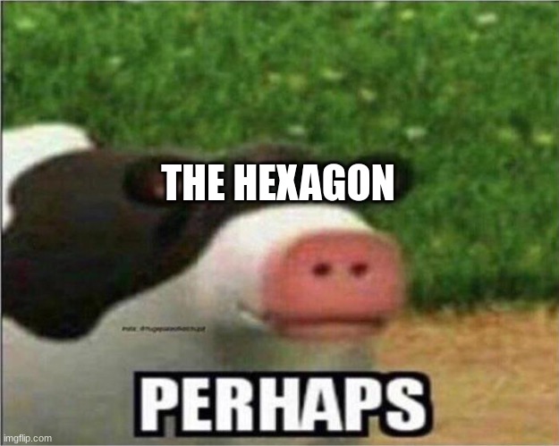 Perhaps Cow | THE HEXAGON | image tagged in perhaps cow | made w/ Imgflip meme maker