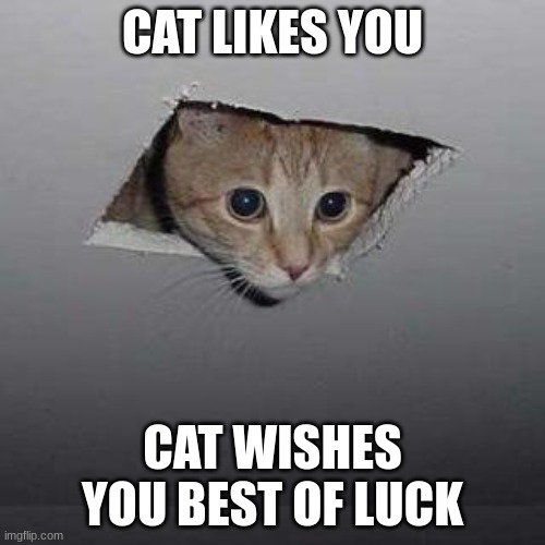 Ceiling Cat | CAT LIKES YOU; CAT WISHES YOU BEST OF LUCK | image tagged in memes,ceiling cat | made w/ Imgflip meme maker