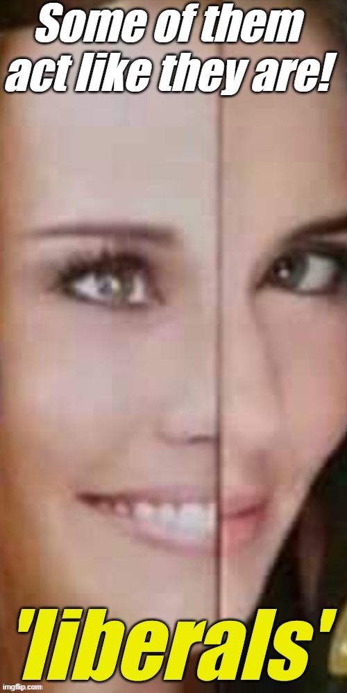 'liberals' are proud of hating the USA. | Some of them act like they are! | image tagged in 'liberals' are proud of hating the usa | made w/ Imgflip meme maker