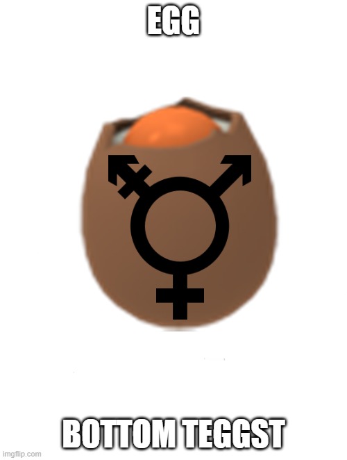 trans egg | EGG; BOTTOM TEGGST | image tagged in bottom text,eggs,egg,transgender,trans | made w/ Imgflip meme maker