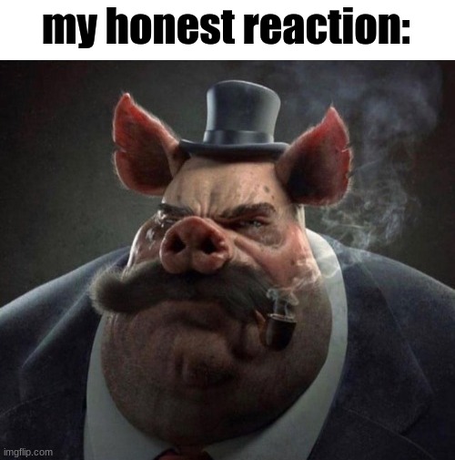 My honest reaction Blank Meme Template