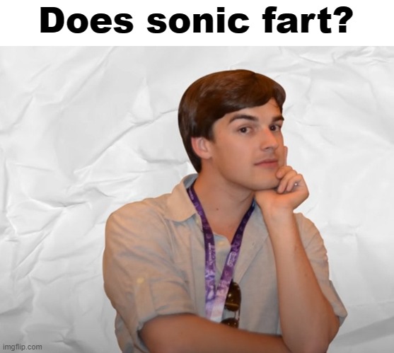 Respectable Theory | Does sonic fart? | image tagged in respectable theory | made w/ Imgflip meme maker