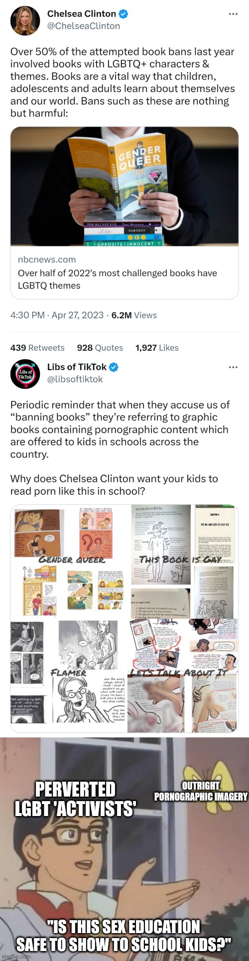 Chelsea Clinton is sick minded enough to think it's ok to show porn to school children | OUTRIGHT PORNOGRAPHIC IMAGERY; PERVERTED LGBT 'ACTIVISTS'; "IS THIS SEX EDUCATION SAFE TO SHOW TO SCHOOL KIDS?" | image tagged in memes,is this a pigeon,clinton corruption,liberal logic,lgbtq,groomers | made w/ Imgflip meme maker