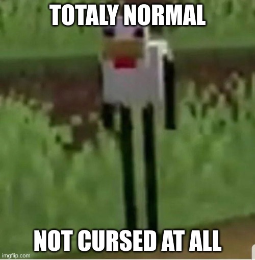 Cursed Minecraft chicken | TOTALY NORMAL; NOT CURSED AT ALL | image tagged in cursed minecraft chicken | made w/ Imgflip meme maker