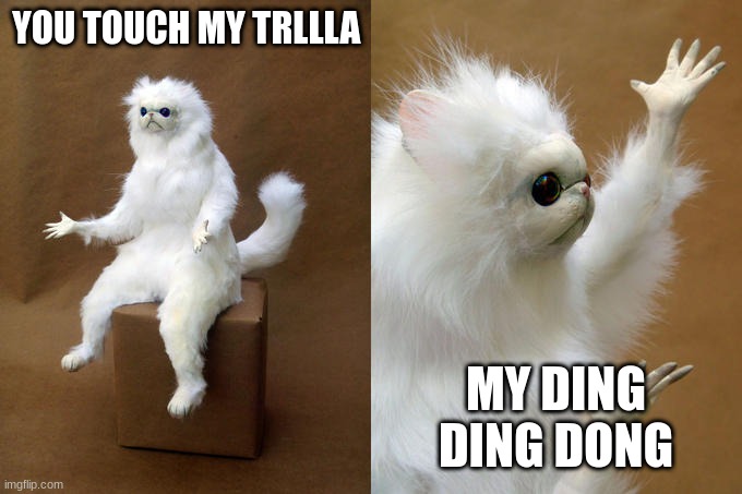 trr trr laa | YOU TOUCH MY TRLLLA; MY DING DING DONG | image tagged in memes,persian cat room guardian | made w/ Imgflip meme maker