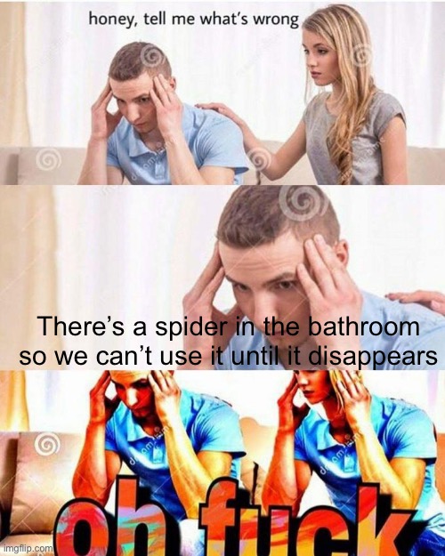 Meme #969 | There’s a spider in the bathroom so we can’t use it until it disappears | image tagged in honey tell me what's wrong,bathroom,spiders,spider,relatable,scary | made w/ Imgflip meme maker