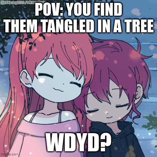 POV: YOU FIND THEM TANGLED IN A TREE; WDYD? | made w/ Imgflip meme maker