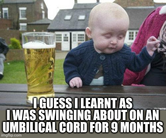 Drunk Baby | I GUESS I LEARNT AS I WAS SWINGING ABOUT ON AN UMBILICAL CORD FOR 9 MONTHS | image tagged in drunk baby | made w/ Imgflip meme maker