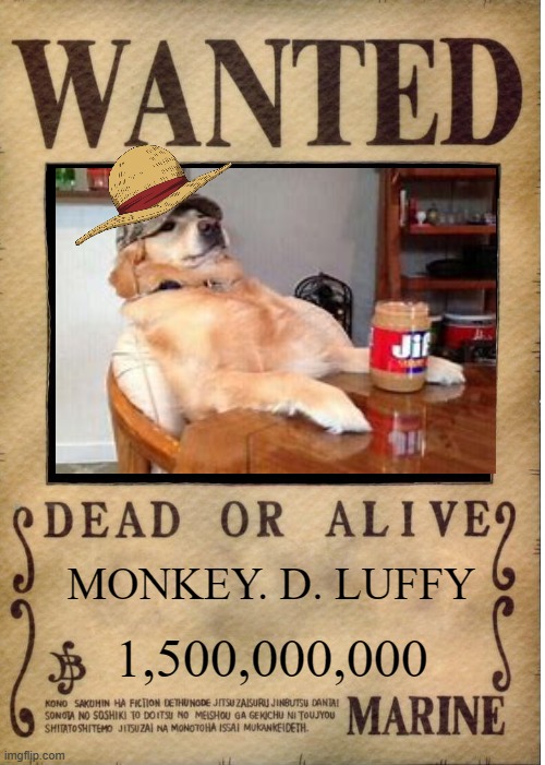 Monkey. D. Doggo | MONKEY. D. LUFFY; 1,500,000,000 | image tagged in one piece wanted poster template,one piece,doggo,funny,anime,lazy | made w/ Imgflip meme maker