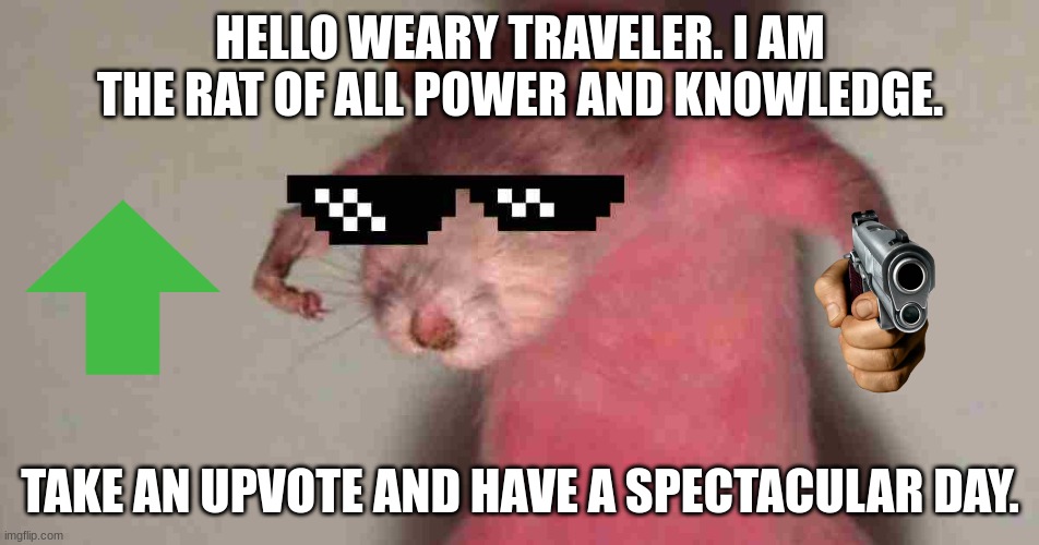 Rat Of Wisdom | HELLO WEARY TRAVELER. I AM THE RAT OF ALL POWER AND KNOWLEDGE. TAKE AN UPVOTE AND HAVE A SPECTACULAR DAY. | image tagged in funny,have a good day,guns | made w/ Imgflip meme maker
