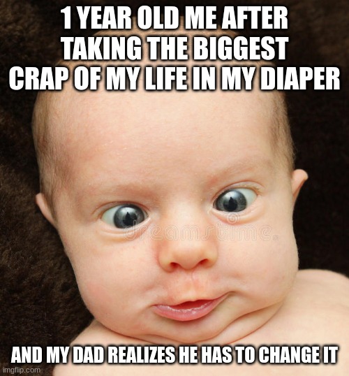 1 Year Old Me | 1 YEAR OLD ME AFTER TAKING THE BIGGEST CRAP OF MY LIFE IN MY DIAPER; AND MY DAD REALIZES HE HAS TO CHANGE IT | image tagged in funny,relatable | made w/ Imgflip meme maker