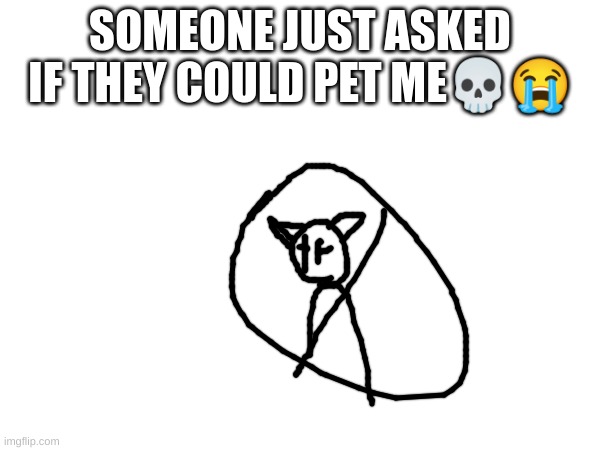 SOMEONE JUST ASKED IF THEY COULD PET ME💀😭 | made w/ Imgflip meme maker