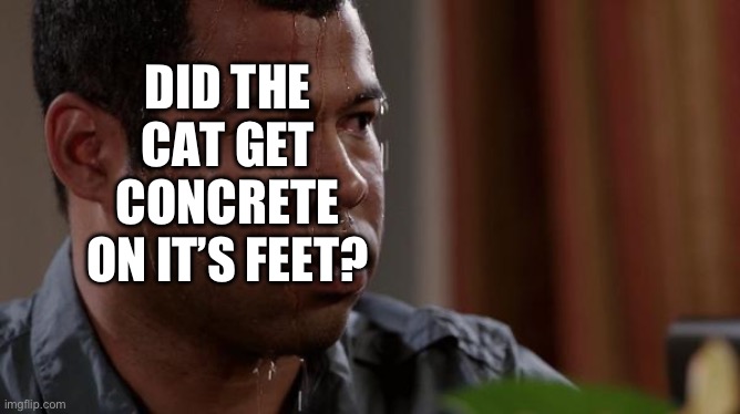 sweating bullets | DID THE CAT GET CONCRETE ON IT’S FEET? | image tagged in sweating bullets | made w/ Imgflip meme maker