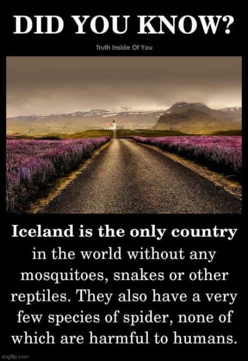 I GO TO ICELAND | made w/ Imgflip meme maker