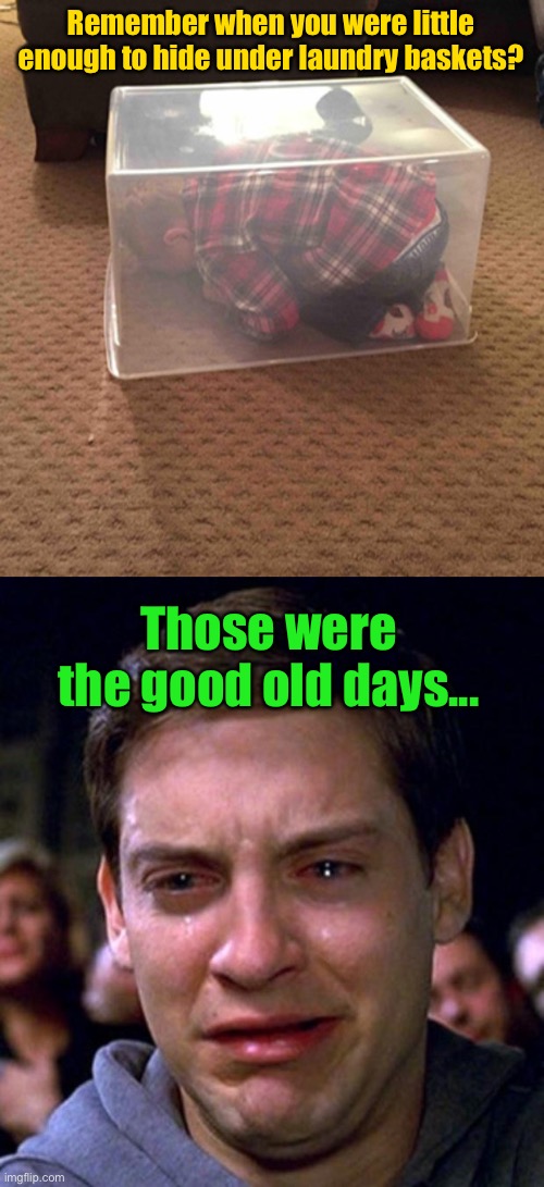 So uuuh I tried to make sort of a DashHopes styled meme (#300028 | Remember when you were little enough to hide under laundry baskets? Those were the good old days... | image tagged in crying peter parker,little kid,kids,the good old days,good old days,relatable | made w/ Imgflip meme maker